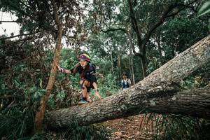 BIB: 
                            <button type="button" onclick="openModal(25546113)" class="btn btn-primary btn-sm float-right btn-popup" data-toggle="modal" data-target=".modal-high-quality">
                        <i class="fas fa-shopping-cart"></i> Add to Cart
                    </button>
                                            <button type="button" onclick="isThisMe(25546113, true)" class="btn btn-success btn-sm float-right btn-popup btn-isme hidden" data-toggle="tooltip" data-placement="bottom" title="นี่คือรูปของคุณใช่ไหม คลิกที่นี่เพื่อเอาเข้าอัลบั้ม">
                        <i class="fas fa-plus"></i> Add to album
                    </button>
                    <button type="button" onclick="isThisMe(25546113, false)" class="btn btn-warning btn-sm float-right btn-popup btn-isnotme hidden">
                        <i class="fas fa-ban"></i> Remove from album
                    </button>