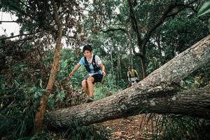 BIB: 
                            <button type="button" onclick="openModal(25546176)" class="btn btn-primary btn-sm float-right btn-popup" data-toggle="modal" data-target=".modal-high-quality">
                        <i class="fas fa-shopping-cart"></i> Add to Cart
                    </button>
                                            <button type="button" onclick="isThisMe(25546176, true)" class="btn btn-success btn-sm float-right btn-popup btn-isme hidden" data-toggle="tooltip" data-placement="bottom" title="นี่คือรูปของคุณใช่ไหม คลิกที่นี่เพื่อเอาเข้าอัลบั้ม">
                        <i class="fas fa-plus"></i> Add to album
                    </button>
                    <button type="button" onclick="isThisMe(25546176, false)" class="btn btn-warning btn-sm float-right btn-popup btn-isnotme hidden">
                        <i class="fas fa-ban"></i> Remove from album
                    </button>