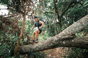 BIB: 
                            <button type="button" onclick="openModal(25545243)" class="btn btn-primary btn-sm float-right btn-popup" data-toggle="modal" data-target=".modal-high-quality">
                        <i class="fas fa-shopping-cart"></i> Add to Cart
                    </button>
                                            <button type="button" onclick="isThisMe(25545243, true)" class="btn btn-success btn-sm float-right btn-popup btn-isme hidden" data-toggle="tooltip" data-placement="bottom" title="นี่คือรูปของคุณใช่ไหม คลิกที่นี่เพื่อเอาเข้าอัลบั้ม">
                        <i class="fas fa-plus"></i> Add to album
                    </button>
                    <button type="button" onclick="isThisMe(25545243, false)" class="btn btn-warning btn-sm float-right btn-popup btn-isnotme hidden">
                        <i class="fas fa-ban"></i> Remove from album
                    </button>