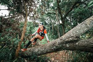 BIB: 
                            <button type="button" onclick="openModal(25542855)" class="btn btn-primary btn-sm float-right btn-popup" data-toggle="modal" data-target=".modal-high-quality">
                        <i class="fas fa-shopping-cart"></i> Add to Cart
                    </button>
                                            <button type="button" onclick="isThisMe(25542855, true)" class="btn btn-success btn-sm float-right btn-popup btn-isme hidden" data-toggle="tooltip" data-placement="bottom" title="นี่คือรูปของคุณใช่ไหม คลิกที่นี่เพื่อเอาเข้าอัลบั้ม">
                        <i class="fas fa-plus"></i> Add to album
                    </button>
                    <button type="button" onclick="isThisMe(25542855, false)" class="btn btn-warning btn-sm float-right btn-popup btn-isnotme hidden">
                        <i class="fas fa-ban"></i> Remove from album
                    </button>