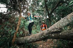 BIB: 
                            <button type="button" onclick="openModal(25547530)" class="btn btn-primary btn-sm float-right btn-popup" data-toggle="modal" data-target=".modal-high-quality">
                        <i class="fas fa-shopping-cart"></i> Add to Cart
                    </button>
                                            <button type="button" onclick="isThisMe(25547530, true)" class="btn btn-success btn-sm float-right btn-popup btn-isme hidden" data-toggle="tooltip" data-placement="bottom" title="นี่คือรูปของคุณใช่ไหม คลิกที่นี่เพื่อเอาเข้าอัลบั้ม">
                        <i class="fas fa-plus"></i> Add to album
                    </button>
                    <button type="button" onclick="isThisMe(25547530, false)" class="btn btn-warning btn-sm float-right btn-popup btn-isnotme hidden">
                        <i class="fas fa-ban"></i> Remove from album
                    </button>