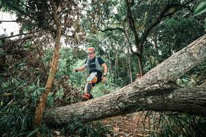 BIB: 
                            <button type="button" onclick="openModal(25541126)" class="btn btn-primary btn-sm float-right btn-popup" data-toggle="modal" data-target=".modal-high-quality">
                        <i class="fas fa-shopping-cart"></i> Add to Cart
                    </button>
                                            <button type="button" onclick="isThisMe(25541126, true)" class="btn btn-success btn-sm float-right btn-popup btn-isme hidden" data-toggle="tooltip" data-placement="bottom" title="นี่คือรูปของคุณใช่ไหม คลิกที่นี่เพื่อเอาเข้าอัลบั้ม">
                        <i class="fas fa-plus"></i> Add to album
                    </button>
                    <button type="button" onclick="isThisMe(25541126, false)" class="btn btn-warning btn-sm float-right btn-popup btn-isnotme hidden">
                        <i class="fas fa-ban"></i> Remove from album
                    </button>