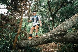 BIB: 
                            <button type="button" onclick="openModal(25548549)" class="btn btn-primary btn-sm float-right btn-popup" data-toggle="modal" data-target=".modal-high-quality">
                        <i class="fas fa-shopping-cart"></i> Add to Cart
                    </button>
                                            <button type="button" onclick="isThisMe(25548549, true)" class="btn btn-success btn-sm float-right btn-popup btn-isme hidden" data-toggle="tooltip" data-placement="bottom" title="นี่คือรูปของคุณใช่ไหม คลิกที่นี่เพื่อเอาเข้าอัลบั้ม">
                        <i class="fas fa-plus"></i> Add to album
                    </button>
                    <button type="button" onclick="isThisMe(25548549, false)" class="btn btn-warning btn-sm float-right btn-popup btn-isnotme hidden">
                        <i class="fas fa-ban"></i> Remove from album
                    </button>