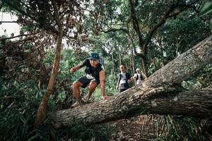 BIB: 
                            <button type="button" onclick="openModal(25534699)" class="btn btn-primary btn-sm float-right btn-popup" data-toggle="modal" data-target=".modal-high-quality">
                        <i class="fas fa-shopping-cart"></i> Add to Cart
                    </button>
                                            <button type="button" onclick="isThisMe(25534699, true)" class="btn btn-success btn-sm float-right btn-popup btn-isme hidden" data-toggle="tooltip" data-placement="bottom" title="นี่คือรูปของคุณใช่ไหม คลิกที่นี่เพื่อเอาเข้าอัลบั้ม">
                        <i class="fas fa-plus"></i> Add to album
                    </button>
                    <button type="button" onclick="isThisMe(25534699, false)" class="btn btn-warning btn-sm float-right btn-popup btn-isnotme hidden">
                        <i class="fas fa-ban"></i> Remove from album
                    </button>