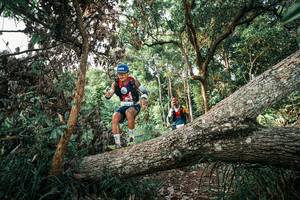 BIB: 
                            <button type="button" onclick="openModal(25527760)" class="btn btn-primary btn-sm float-right btn-popup" data-toggle="modal" data-target=".modal-high-quality">
                        <i class="fas fa-shopping-cart"></i> Add to Cart
                    </button>
                                            <button type="button" onclick="isThisMe(25527760, true)" class="btn btn-success btn-sm float-right btn-popup btn-isme hidden" data-toggle="tooltip" data-placement="bottom" title="นี่คือรูปของคุณใช่ไหม คลิกที่นี่เพื่อเอาเข้าอัลบั้ม">
                        <i class="fas fa-plus"></i> Add to album
                    </button>
                    <button type="button" onclick="isThisMe(25527760, false)" class="btn btn-warning btn-sm float-right btn-popup btn-isnotme hidden">
                        <i class="fas fa-ban"></i> Remove from album
                    </button>