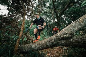 BIB: 
                            <button type="button" onclick="openModal(25550139)" class="btn btn-primary btn-sm float-right btn-popup" data-toggle="modal" data-target=".modal-high-quality">
                        <i class="fas fa-shopping-cart"></i> Add to Cart
                    </button>
                                            <button type="button" onclick="isThisMe(25550139, true)" class="btn btn-success btn-sm float-right btn-popup btn-isme hidden" data-toggle="tooltip" data-placement="bottom" title="นี่คือรูปของคุณใช่ไหม คลิกที่นี่เพื่อเอาเข้าอัลบั้ม">
                        <i class="fas fa-plus"></i> Add to album
                    </button>
                    <button type="button" onclick="isThisMe(25550139, false)" class="btn btn-warning btn-sm float-right btn-popup btn-isnotme hidden">
                        <i class="fas fa-ban"></i> Remove from album
                    </button>