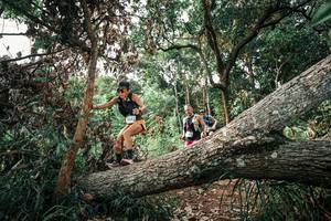 BIB: 
                            <button type="button" onclick="openModal(25533380)" class="btn btn-primary btn-sm float-right btn-popup" data-toggle="modal" data-target=".modal-high-quality">
                        <i class="fas fa-shopping-cart"></i> Add to Cart
                    </button>
                                            <button type="button" onclick="isThisMe(25533380, true)" class="btn btn-success btn-sm float-right btn-popup btn-isme hidden" data-toggle="tooltip" data-placement="bottom" title="นี่คือรูปของคุณใช่ไหม คลิกที่นี่เพื่อเอาเข้าอัลบั้ม">
                        <i class="fas fa-plus"></i> Add to album
                    </button>
                    <button type="button" onclick="isThisMe(25533380, false)" class="btn btn-warning btn-sm float-right btn-popup btn-isnotme hidden">
                        <i class="fas fa-ban"></i> Remove from album
                    </button>