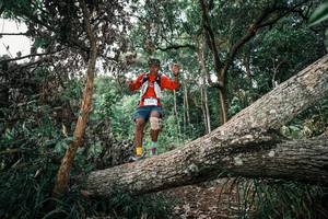 BIB: 
                            <button type="button" onclick="openModal(25528087)" class="btn btn-primary btn-sm float-right btn-popup" data-toggle="modal" data-target=".modal-high-quality">
                        <i class="fas fa-shopping-cart"></i> Add to Cart
                    </button>
                                            <button type="button" onclick="isThisMe(25528087, true)" class="btn btn-success btn-sm float-right btn-popup btn-isme hidden" data-toggle="tooltip" data-placement="bottom" title="นี่คือรูปของคุณใช่ไหม คลิกที่นี่เพื่อเอาเข้าอัลบั้ม">
                        <i class="fas fa-plus"></i> Add to album
                    </button>
                    <button type="button" onclick="isThisMe(25528087, false)" class="btn btn-warning btn-sm float-right btn-popup btn-isnotme hidden">
                        <i class="fas fa-ban"></i> Remove from album
                    </button>