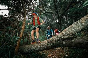 BIB: 
                            <button type="button" onclick="openModal(25550518)" class="btn btn-primary btn-sm float-right btn-popup" data-toggle="modal" data-target=".modal-high-quality">
                        <i class="fas fa-shopping-cart"></i> Add to Cart
                    </button>
                                            <button type="button" onclick="isThisMe(25550518, true)" class="btn btn-success btn-sm float-right btn-popup btn-isme hidden" data-toggle="tooltip" data-placement="bottom" title="นี่คือรูปของคุณใช่ไหม คลิกที่นี่เพื่อเอาเข้าอัลบั้ม">
                        <i class="fas fa-plus"></i> Add to album
                    </button>
                    <button type="button" onclick="isThisMe(25550518, false)" class="btn btn-warning btn-sm float-right btn-popup btn-isnotme hidden">
                        <i class="fas fa-ban"></i> Remove from album
                    </button>