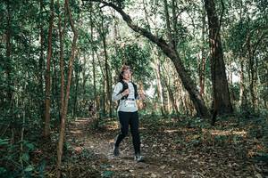 BIB: 
                            <button type="button" onclick="openModal(25778761)" class="btn btn-primary btn-sm float-right btn-popup" data-toggle="modal" data-target=".modal-high-quality">
                        <i class="fas fa-shopping-cart"></i> Add to Cart
                    </button>
                                            <button type="button" onclick="isThisMe(25778761, true)" class="btn btn-success btn-sm float-right btn-popup btn-isme hidden" data-toggle="tooltip" data-placement="bottom" title="นี่คือรูปของคุณใช่ไหม คลิกที่นี่เพื่อเอาเข้าอัลบั้ม">
                        <i class="fas fa-plus"></i> Add to album
                    </button>
                    <button type="button" onclick="isThisMe(25778761, false)" class="btn btn-warning btn-sm float-right btn-popup btn-isnotme hidden">
                        <i class="fas fa-ban"></i> Remove from album
                    </button>