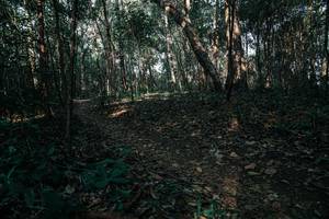 BIB: 
                            <button type="button" onclick="openModal(25749334)" class="btn btn-primary btn-sm float-right btn-popup" data-toggle="modal" data-target=".modal-high-quality">
                        <i class="fas fa-shopping-cart"></i> Add to Cart
                    </button>
                                            <button type="button" onclick="isThisMe(25749334, true)" class="btn btn-success btn-sm float-right btn-popup btn-isme hidden" data-toggle="tooltip" data-placement="bottom" title="นี่คือรูปของคุณใช่ไหม คลิกที่นี่เพื่อเอาเข้าอัลบั้ม">
                        <i class="fas fa-plus"></i> Add to album
                    </button>
                    <button type="button" onclick="isThisMe(25749334, false)" class="btn btn-warning btn-sm float-right btn-popup btn-isnotme hidden">
                        <i class="fas fa-ban"></i> Remove from album
                    </button>