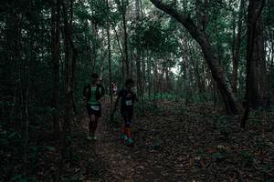 BIB: 
                            <button type="button" onclick="openModal(25759282)" class="btn btn-primary btn-sm float-right btn-popup" data-toggle="modal" data-target=".modal-high-quality">
                        <i class="fas fa-shopping-cart"></i> Add to Cart
                    </button>
                                            <button type="button" onclick="isThisMe(25759282, true)" class="btn btn-success btn-sm float-right btn-popup btn-isme hidden" data-toggle="tooltip" data-placement="bottom" title="นี่คือรูปของคุณใช่ไหม คลิกที่นี่เพื่อเอาเข้าอัลบั้ม">
                        <i class="fas fa-plus"></i> Add to album
                    </button>
                    <button type="button" onclick="isThisMe(25759282, false)" class="btn btn-warning btn-sm float-right btn-popup btn-isnotme hidden">
                        <i class="fas fa-ban"></i> Remove from album
                    </button>