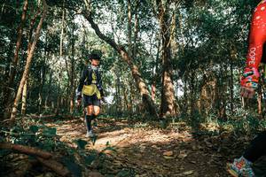 BIB: 
                            <button type="button" onclick="openModal(25750137)" class="btn btn-primary btn-sm float-right btn-popup" data-toggle="modal" data-target=".modal-high-quality">
                        <i class="fas fa-shopping-cart"></i> Add to Cart
                    </button>
                                            <button type="button" onclick="isThisMe(25750137, true)" class="btn btn-success btn-sm float-right btn-popup btn-isme hidden" data-toggle="tooltip" data-placement="bottom" title="นี่คือรูปของคุณใช่ไหม คลิกที่นี่เพื่อเอาเข้าอัลบั้ม">
                        <i class="fas fa-plus"></i> Add to album
                    </button>
                    <button type="button" onclick="isThisMe(25750137, false)" class="btn btn-warning btn-sm float-right btn-popup btn-isnotme hidden">
                        <i class="fas fa-ban"></i> Remove from album
                    </button>