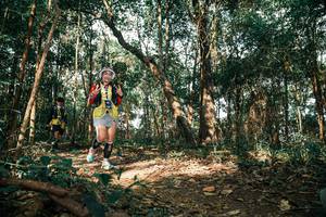 BIB: 
                            <button type="button" onclick="openModal(25750120)" class="btn btn-primary btn-sm float-right btn-popup" data-toggle="modal" data-target=".modal-high-quality">
                        <i class="fas fa-shopping-cart"></i> Add to Cart
                    </button>
                                            <button type="button" onclick="isThisMe(25750120, true)" class="btn btn-success btn-sm float-right btn-popup btn-isme hidden" data-toggle="tooltip" data-placement="bottom" title="นี่คือรูปของคุณใช่ไหม คลิกที่นี่เพื่อเอาเข้าอัลบั้ม">
                        <i class="fas fa-plus"></i> Add to album
                    </button>
                    <button type="button" onclick="isThisMe(25750120, false)" class="btn btn-warning btn-sm float-right btn-popup btn-isnotme hidden">
                        <i class="fas fa-ban"></i> Remove from album
                    </button>