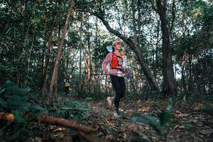 BIB: 
                            <button type="button" onclick="openModal(25748715)" class="btn btn-primary btn-sm float-right btn-popup" data-toggle="modal" data-target=".modal-high-quality">
                        <i class="fas fa-shopping-cart"></i> Add to Cart
                    </button>
                                            <button type="button" onclick="isThisMe(25748715, true)" class="btn btn-success btn-sm float-right btn-popup btn-isme hidden" data-toggle="tooltip" data-placement="bottom" title="นี่คือรูปของคุณใช่ไหม คลิกที่นี่เพื่อเอาเข้าอัลบั้ม">
                        <i class="fas fa-plus"></i> Add to album
                    </button>
                    <button type="button" onclick="isThisMe(25748715, false)" class="btn btn-warning btn-sm float-right btn-popup btn-isnotme hidden">
                        <i class="fas fa-ban"></i> Remove from album
                    </button>