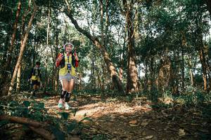 BIB: 
                            <button type="button" onclick="openModal(25750118)" class="btn btn-primary btn-sm float-right btn-popup" data-toggle="modal" data-target=".modal-high-quality">
                        <i class="fas fa-shopping-cart"></i> Add to Cart
                    </button>
                                            <button type="button" onclick="isThisMe(25750118, true)" class="btn btn-success btn-sm float-right btn-popup btn-isme hidden" data-toggle="tooltip" data-placement="bottom" title="นี่คือรูปของคุณใช่ไหม คลิกที่นี่เพื่อเอาเข้าอัลบั้ม">
                        <i class="fas fa-plus"></i> Add to album
                    </button>
                    <button type="button" onclick="isThisMe(25750118, false)" class="btn btn-warning btn-sm float-right btn-popup btn-isnotme hidden">
                        <i class="fas fa-ban"></i> Remove from album
                    </button>