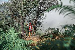 BIB: 
                            <button type="button" onclick="openModal(25326267)" class="btn btn-primary btn-sm float-right btn-popup" data-toggle="modal" data-target=".modal-high-quality">
                        <i class="fas fa-shopping-cart"></i> Add to Cart
                    </button>
                                            <button type="button" onclick="isThisMe(25326267, true)" class="btn btn-success btn-sm float-right btn-popup btn-isme hidden" data-toggle="tooltip" data-placement="bottom" title="นี่คือรูปของคุณใช่ไหม คลิกที่นี่เพื่อเอาเข้าอัลบั้ม">
                        <i class="fas fa-plus"></i> Add to album
                    </button>
                    <button type="button" onclick="isThisMe(25326267, false)" class="btn btn-warning btn-sm float-right btn-popup btn-isnotme hidden">
                        <i class="fas fa-ban"></i> Remove from album
                    </button>