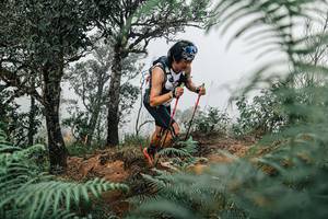 BIB: 
                            <button type="button" onclick="openModal(25327825)" class="btn btn-primary btn-sm float-right btn-popup" data-toggle="modal" data-target=".modal-high-quality">
                        <i class="fas fa-shopping-cart"></i> Add to Cart
                    </button>
                                            <button type="button" onclick="isThisMe(25327825, true)" class="btn btn-success btn-sm float-right btn-popup btn-isme hidden" data-toggle="tooltip" data-placement="bottom" title="นี่คือรูปของคุณใช่ไหม คลิกที่นี่เพื่อเอาเข้าอัลบั้ม">
                        <i class="fas fa-plus"></i> Add to album
                    </button>
                    <button type="button" onclick="isThisMe(25327825, false)" class="btn btn-warning btn-sm float-right btn-popup btn-isnotme hidden">
                        <i class="fas fa-ban"></i> Remove from album
                    </button>