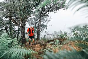 BIB: 
                            <button type="button" onclick="openModal(25327283)" class="btn btn-primary btn-sm float-right btn-popup" data-toggle="modal" data-target=".modal-high-quality">
                        <i class="fas fa-shopping-cart"></i> Add to Cart
                    </button>
                                            <button type="button" onclick="isThisMe(25327283, true)" class="btn btn-success btn-sm float-right btn-popup btn-isme hidden" data-toggle="tooltip" data-placement="bottom" title="นี่คือรูปของคุณใช่ไหม คลิกที่นี่เพื่อเอาเข้าอัลบั้ม">
                        <i class="fas fa-plus"></i> Add to album
                    </button>
                    <button type="button" onclick="isThisMe(25327283, false)" class="btn btn-warning btn-sm float-right btn-popup btn-isnotme hidden">
                        <i class="fas fa-ban"></i> Remove from album
                    </button>