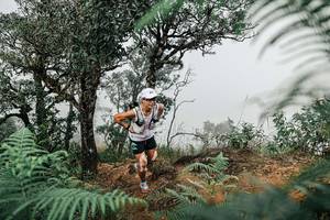 BIB: 
                            <button type="button" onclick="openModal(25327703)" class="btn btn-primary btn-sm float-right btn-popup" data-toggle="modal" data-target=".modal-high-quality">
                        <i class="fas fa-shopping-cart"></i> Add to Cart
                    </button>
                                            <button type="button" onclick="isThisMe(25327703, true)" class="btn btn-success btn-sm float-right btn-popup btn-isme hidden" data-toggle="tooltip" data-placement="bottom" title="นี่คือรูปของคุณใช่ไหม คลิกที่นี่เพื่อเอาเข้าอัลบั้ม">
                        <i class="fas fa-plus"></i> Add to album
                    </button>
                    <button type="button" onclick="isThisMe(25327703, false)" class="btn btn-warning btn-sm float-right btn-popup btn-isnotme hidden">
                        <i class="fas fa-ban"></i> Remove from album
                    </button>