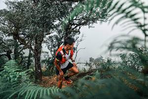 BIB: 
                            <button type="button" onclick="openModal(25326563)" class="btn btn-primary btn-sm float-right btn-popup" data-toggle="modal" data-target=".modal-high-quality">
                        <i class="fas fa-shopping-cart"></i> Add to Cart
                    </button>
                                            <button type="button" onclick="isThisMe(25326563, true)" class="btn btn-success btn-sm float-right btn-popup btn-isme hidden" data-toggle="tooltip" data-placement="bottom" title="นี่คือรูปของคุณใช่ไหม คลิกที่นี่เพื่อเอาเข้าอัลบั้ม">
                        <i class="fas fa-plus"></i> Add to album
                    </button>
                    <button type="button" onclick="isThisMe(25326563, false)" class="btn btn-warning btn-sm float-right btn-popup btn-isnotme hidden">
                        <i class="fas fa-ban"></i> Remove from album
                    </button>