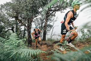 BIB: 
                            <button type="button" onclick="openModal(25327856)" class="btn btn-primary btn-sm float-right btn-popup" data-toggle="modal" data-target=".modal-high-quality">
                        <i class="fas fa-shopping-cart"></i> Add to Cart
                    </button>
                                            <button type="button" onclick="isThisMe(25327856, true)" class="btn btn-success btn-sm float-right btn-popup btn-isme hidden" data-toggle="tooltip" data-placement="bottom" title="นี่คือรูปของคุณใช่ไหม คลิกที่นี่เพื่อเอาเข้าอัลบั้ม">
                        <i class="fas fa-plus"></i> Add to album
                    </button>
                    <button type="button" onclick="isThisMe(25327856, false)" class="btn btn-warning btn-sm float-right btn-popup btn-isnotme hidden">
                        <i class="fas fa-ban"></i> Remove from album
                    </button>