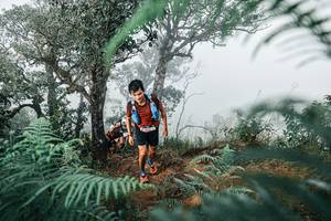 BIB: 
                            <button type="button" onclick="openModal(25328104)" class="btn btn-primary btn-sm float-right btn-popup" data-toggle="modal" data-target=".modal-high-quality">
                        <i class="fas fa-shopping-cart"></i> Add to Cart
                    </button>
                                            <button type="button" onclick="isThisMe(25328104, true)" class="btn btn-success btn-sm float-right btn-popup btn-isme hidden" data-toggle="tooltip" data-placement="bottom" title="นี่คือรูปของคุณใช่ไหม คลิกที่นี่เพื่อเอาเข้าอัลบั้ม">
                        <i class="fas fa-plus"></i> Add to album
                    </button>
                    <button type="button" onclick="isThisMe(25328104, false)" class="btn btn-warning btn-sm float-right btn-popup btn-isnotme hidden">
                        <i class="fas fa-ban"></i> Remove from album
                    </button>