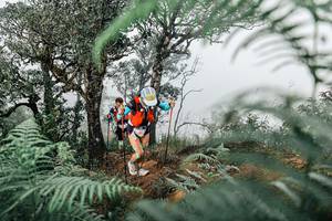 BIB: 
                            <button type="button" onclick="openModal(25327893)" class="btn btn-primary btn-sm float-right btn-popup" data-toggle="modal" data-target=".modal-high-quality">
                        <i class="fas fa-shopping-cart"></i> Add to Cart
                    </button>
                                            <button type="button" onclick="isThisMe(25327893, true)" class="btn btn-success btn-sm float-right btn-popup btn-isme hidden" data-toggle="tooltip" data-placement="bottom" title="นี่คือรูปของคุณใช่ไหม คลิกที่นี่เพื่อเอาเข้าอัลบั้ม">
                        <i class="fas fa-plus"></i> Add to album
                    </button>
                    <button type="button" onclick="isThisMe(25327893, false)" class="btn btn-warning btn-sm float-right btn-popup btn-isnotme hidden">
                        <i class="fas fa-ban"></i> Remove from album
                    </button>