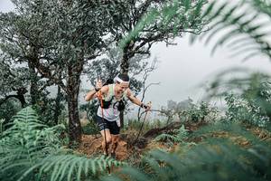 BIB: 
                            <button type="button" onclick="openModal(25326586)" class="btn btn-primary btn-sm float-right btn-popup" data-toggle="modal" data-target=".modal-high-quality">
                        <i class="fas fa-shopping-cart"></i> Add to Cart
                    </button>
                                            <button type="button" onclick="isThisMe(25326586, true)" class="btn btn-success btn-sm float-right btn-popup btn-isme hidden" data-toggle="tooltip" data-placement="bottom" title="นี่คือรูปของคุณใช่ไหม คลิกที่นี่เพื่อเอาเข้าอัลบั้ม">
                        <i class="fas fa-plus"></i> Add to album
                    </button>
                    <button type="button" onclick="isThisMe(25326586, false)" class="btn btn-warning btn-sm float-right btn-popup btn-isnotme hidden">
                        <i class="fas fa-ban"></i> Remove from album
                    </button>