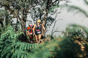 BIB: 
                            <button type="button" onclick="openModal(25326829)" class="btn btn-primary btn-sm float-right btn-popup" data-toggle="modal" data-target=".modal-high-quality">
                        <i class="fas fa-shopping-cart"></i> Add to Cart
                    </button>
                                            <button type="button" onclick="isThisMe(25326829, true)" class="btn btn-success btn-sm float-right btn-popup btn-isme hidden" data-toggle="tooltip" data-placement="bottom" title="นี่คือรูปของคุณใช่ไหม คลิกที่นี่เพื่อเอาเข้าอัลบั้ม">
                        <i class="fas fa-plus"></i> Add to album
                    </button>
                    <button type="button" onclick="isThisMe(25326829, false)" class="btn btn-warning btn-sm float-right btn-popup btn-isnotme hidden">
                        <i class="fas fa-ban"></i> Remove from album
                    </button>