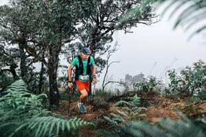 BIB: 
                            <button type="button" onclick="openModal(25327263)" class="btn btn-primary btn-sm float-right btn-popup" data-toggle="modal" data-target=".modal-high-quality">
                        <i class="fas fa-shopping-cart"></i> Add to Cart
                    </button>
                                            <button type="button" onclick="isThisMe(25327263, true)" class="btn btn-success btn-sm float-right btn-popup btn-isme hidden" data-toggle="tooltip" data-placement="bottom" title="นี่คือรูปของคุณใช่ไหม คลิกที่นี่เพื่อเอาเข้าอัลบั้ม">
                        <i class="fas fa-plus"></i> Add to album
                    </button>
                    <button type="button" onclick="isThisMe(25327263, false)" class="btn btn-warning btn-sm float-right btn-popup btn-isnotme hidden">
                        <i class="fas fa-ban"></i> Remove from album
                    </button>