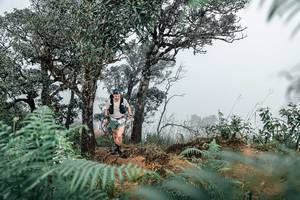 BIB: 
                            <button type="button" onclick="openModal(25326361)" class="btn btn-primary btn-sm float-right btn-popup" data-toggle="modal" data-target=".modal-high-quality">
                        <i class="fas fa-shopping-cart"></i> Add to Cart
                    </button>
                                            <button type="button" onclick="isThisMe(25326361, true)" class="btn btn-success btn-sm float-right btn-popup btn-isme hidden" data-toggle="tooltip" data-placement="bottom" title="นี่คือรูปของคุณใช่ไหม คลิกที่นี่เพื่อเอาเข้าอัลบั้ม">
                        <i class="fas fa-plus"></i> Add to album
                    </button>
                    <button type="button" onclick="isThisMe(25326361, false)" class="btn btn-warning btn-sm float-right btn-popup btn-isnotme hidden">
                        <i class="fas fa-ban"></i> Remove from album
                    </button>