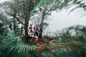 BIB: 
                            <button type="button" onclick="openModal(25328111)" class="btn btn-primary btn-sm float-right btn-popup" data-toggle="modal" data-target=".modal-high-quality">
                        <i class="fas fa-shopping-cart"></i> Add to Cart
                    </button>
                                            <button type="button" onclick="isThisMe(25328111, true)" class="btn btn-success btn-sm float-right btn-popup btn-isme hidden" data-toggle="tooltip" data-placement="bottom" title="นี่คือรูปของคุณใช่ไหม คลิกที่นี่เพื่อเอาเข้าอัลบั้ม">
                        <i class="fas fa-plus"></i> Add to album
                    </button>
                    <button type="button" onclick="isThisMe(25328111, false)" class="btn btn-warning btn-sm float-right btn-popup btn-isnotme hidden">
                        <i class="fas fa-ban"></i> Remove from album
                    </button>