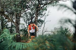 BIB: 
                            <button type="button" onclick="openModal(25326661)" class="btn btn-primary btn-sm float-right btn-popup" data-toggle="modal" data-target=".modal-high-quality">
                        <i class="fas fa-shopping-cart"></i> Add to Cart
                    </button>
                                            <button type="button" onclick="isThisMe(25326661, true)" class="btn btn-success btn-sm float-right btn-popup btn-isme hidden" data-toggle="tooltip" data-placement="bottom" title="นี่คือรูปของคุณใช่ไหม คลิกที่นี่เพื่อเอาเข้าอัลบั้ม">
                        <i class="fas fa-plus"></i> Add to album
                    </button>
                    <button type="button" onclick="isThisMe(25326661, false)" class="btn btn-warning btn-sm float-right btn-popup btn-isnotme hidden">
                        <i class="fas fa-ban"></i> Remove from album
                    </button>