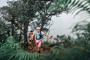 BIB: 
                            <button type="button" onclick="openModal(25326557)" class="btn btn-primary btn-sm float-right btn-popup" data-toggle="modal" data-target=".modal-high-quality">
                        <i class="fas fa-shopping-cart"></i> Add to Cart
                    </button>
                                            <button type="button" onclick="isThisMe(25326557, true)" class="btn btn-success btn-sm float-right btn-popup btn-isme hidden" data-toggle="tooltip" data-placement="bottom" title="นี่คือรูปของคุณใช่ไหม คลิกที่นี่เพื่อเอาเข้าอัลบั้ม">
                        <i class="fas fa-plus"></i> Add to album
                    </button>
                    <button type="button" onclick="isThisMe(25326557, false)" class="btn btn-warning btn-sm float-right btn-popup btn-isnotme hidden">
                        <i class="fas fa-ban"></i> Remove from album
                    </button>