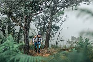 BIB: 
                            <button type="button" onclick="openModal(25326706)" class="btn btn-primary btn-sm float-right btn-popup" data-toggle="modal" data-target=".modal-high-quality">
                        <i class="fas fa-shopping-cart"></i> Add to Cart
                    </button>
                                            <button type="button" onclick="isThisMe(25326706, true)" class="btn btn-success btn-sm float-right btn-popup btn-isme hidden" data-toggle="tooltip" data-placement="bottom" title="นี่คือรูปของคุณใช่ไหม คลิกที่นี่เพื่อเอาเข้าอัลบั้ม">
                        <i class="fas fa-plus"></i> Add to album
                    </button>
                    <button type="button" onclick="isThisMe(25326706, false)" class="btn btn-warning btn-sm float-right btn-popup btn-isnotme hidden">
                        <i class="fas fa-ban"></i> Remove from album
                    </button>