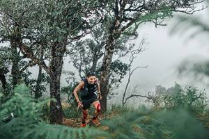 BIB: 
                            <button type="button" onclick="openModal(25326689)" class="btn btn-primary btn-sm float-right btn-popup" data-toggle="modal" data-target=".modal-high-quality">
                        <i class="fas fa-shopping-cart"></i> Add to Cart
                    </button>
                                            <button type="button" onclick="isThisMe(25326689, true)" class="btn btn-success btn-sm float-right btn-popup btn-isme hidden" data-toggle="tooltip" data-placement="bottom" title="นี่คือรูปของคุณใช่ไหม คลิกที่นี่เพื่อเอาเข้าอัลบั้ม">
                        <i class="fas fa-plus"></i> Add to album
                    </button>
                    <button type="button" onclick="isThisMe(25326689, false)" class="btn btn-warning btn-sm float-right btn-popup btn-isnotme hidden">
                        <i class="fas fa-ban"></i> Remove from album
                    </button>