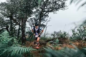 BIB: 
                            <button type="button" onclick="openModal(25327214)" class="btn btn-primary btn-sm float-right btn-popup" data-toggle="modal" data-target=".modal-high-quality">
                        <i class="fas fa-shopping-cart"></i> Add to Cart
                    </button>
                                            <button type="button" onclick="isThisMe(25327214, true)" class="btn btn-success btn-sm float-right btn-popup btn-isme hidden" data-toggle="tooltip" data-placement="bottom" title="นี่คือรูปของคุณใช่ไหม คลิกที่นี่เพื่อเอาเข้าอัลบั้ม">
                        <i class="fas fa-plus"></i> Add to album
                    </button>
                    <button type="button" onclick="isThisMe(25327214, false)" class="btn btn-warning btn-sm float-right btn-popup btn-isnotme hidden">
                        <i class="fas fa-ban"></i> Remove from album
                    </button>