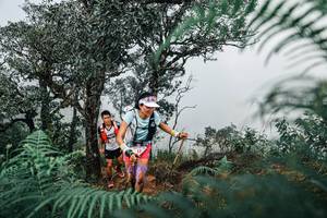 BIB: 
                            <button type="button" onclick="openModal(25326555)" class="btn btn-primary btn-sm float-right btn-popup" data-toggle="modal" data-target=".modal-high-quality">
                        <i class="fas fa-shopping-cart"></i> Add to Cart
                    </button>
                                            <button type="button" onclick="isThisMe(25326555, true)" class="btn btn-success btn-sm float-right btn-popup btn-isme hidden" data-toggle="tooltip" data-placement="bottom" title="นี่คือรูปของคุณใช่ไหม คลิกที่นี่เพื่อเอาเข้าอัลบั้ม">
                        <i class="fas fa-plus"></i> Add to album
                    </button>
                    <button type="button" onclick="isThisMe(25326555, false)" class="btn btn-warning btn-sm float-right btn-popup btn-isnotme hidden">
                        <i class="fas fa-ban"></i> Remove from album
                    </button>