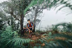 BIB: 
                            <button type="button" onclick="openModal(25328100)" class="btn btn-primary btn-sm float-right btn-popup" data-toggle="modal" data-target=".modal-high-quality">
                        <i class="fas fa-shopping-cart"></i> Add to Cart
                    </button>
                                            <button type="button" onclick="isThisMe(25328100, true)" class="btn btn-success btn-sm float-right btn-popup btn-isme hidden" data-toggle="tooltip" data-placement="bottom" title="นี่คือรูปของคุณใช่ไหม คลิกที่นี่เพื่อเอาเข้าอัลบั้ม">
                        <i class="fas fa-plus"></i> Add to album
                    </button>
                    <button type="button" onclick="isThisMe(25328100, false)" class="btn btn-warning btn-sm float-right btn-popup btn-isnotme hidden">
                        <i class="fas fa-ban"></i> Remove from album
                    </button>