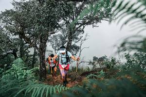 BIB: 
                            <button type="button" onclick="openModal(25326552)" class="btn btn-primary btn-sm float-right btn-popup" data-toggle="modal" data-target=".modal-high-quality">
                        <i class="fas fa-shopping-cart"></i> Add to Cart
                    </button>
                                            <button type="button" onclick="isThisMe(25326552, true)" class="btn btn-success btn-sm float-right btn-popup btn-isme hidden" data-toggle="tooltip" data-placement="bottom" title="นี่คือรูปของคุณใช่ไหม คลิกที่นี่เพื่อเอาเข้าอัลบั้ม">
                        <i class="fas fa-plus"></i> Add to album
                    </button>
                    <button type="button" onclick="isThisMe(25326552, false)" class="btn btn-warning btn-sm float-right btn-popup btn-isnotme hidden">
                        <i class="fas fa-ban"></i> Remove from album
                    </button>