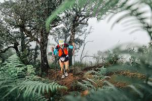 BIB: 
                            <button type="button" onclick="openModal(25327889)" class="btn btn-primary btn-sm float-right btn-popup" data-toggle="modal" data-target=".modal-high-quality">
                        <i class="fas fa-shopping-cart"></i> Add to Cart
                    </button>
                                            <button type="button" onclick="isThisMe(25327889, true)" class="btn btn-success btn-sm float-right btn-popup btn-isme hidden" data-toggle="tooltip" data-placement="bottom" title="นี่คือรูปของคุณใช่ไหม คลิกที่นี่เพื่อเอาเข้าอัลบั้ม">
                        <i class="fas fa-plus"></i> Add to album
                    </button>
                    <button type="button" onclick="isThisMe(25327889, false)" class="btn btn-warning btn-sm float-right btn-popup btn-isnotme hidden">
                        <i class="fas fa-ban"></i> Remove from album
                    </button>