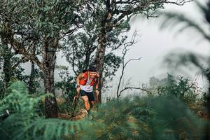 BIB: 
                            <button type="button" onclick="openModal(25326657)" class="btn btn-primary btn-sm float-right btn-popup" data-toggle="modal" data-target=".modal-high-quality">
                        <i class="fas fa-shopping-cart"></i> Add to Cart
                    </button>
                                            <button type="button" onclick="isThisMe(25326657, true)" class="btn btn-success btn-sm float-right btn-popup btn-isme hidden" data-toggle="tooltip" data-placement="bottom" title="นี่คือรูปของคุณใช่ไหม คลิกที่นี่เพื่อเอาเข้าอัลบั้ม">
                        <i class="fas fa-plus"></i> Add to album
                    </button>
                    <button type="button" onclick="isThisMe(25326657, false)" class="btn btn-warning btn-sm float-right btn-popup btn-isnotme hidden">
                        <i class="fas fa-ban"></i> Remove from album
                    </button>