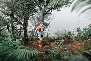 BIB: 
                            <button type="button" onclick="openModal(25327959)" class="btn btn-primary btn-sm float-right btn-popup" data-toggle="modal" data-target=".modal-high-quality">
                        <i class="fas fa-shopping-cart"></i> Add to Cart
                    </button>
                                            <button type="button" onclick="isThisMe(25327959, true)" class="btn btn-success btn-sm float-right btn-popup btn-isme hidden" data-toggle="tooltip" data-placement="bottom" title="นี่คือรูปของคุณใช่ไหม คลิกที่นี่เพื่อเอาเข้าอัลบั้ม">
                        <i class="fas fa-plus"></i> Add to album
                    </button>
                    <button type="button" onclick="isThisMe(25327959, false)" class="btn btn-warning btn-sm float-right btn-popup btn-isnotme hidden">
                        <i class="fas fa-ban"></i> Remove from album
                    </button>