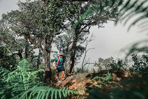 BIB: 
                            <button type="button" onclick="openModal(25326383)" class="btn btn-primary btn-sm float-right btn-popup" data-toggle="modal" data-target=".modal-high-quality">
                        <i class="fas fa-shopping-cart"></i> Add to Cart
                    </button>
                                            <button type="button" onclick="isThisMe(25326383, true)" class="btn btn-success btn-sm float-right btn-popup btn-isme hidden" data-toggle="tooltip" data-placement="bottom" title="นี่คือรูปของคุณใช่ไหม คลิกที่นี่เพื่อเอาเข้าอัลบั้ม">
                        <i class="fas fa-plus"></i> Add to album
                    </button>
                    <button type="button" onclick="isThisMe(25326383, false)" class="btn btn-warning btn-sm float-right btn-popup btn-isnotme hidden">
                        <i class="fas fa-ban"></i> Remove from album
                    </button>