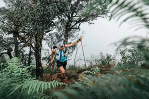 BIB: 
                            <button type="button" onclick="openModal(25327547)" class="btn btn-primary btn-sm float-right btn-popup" data-toggle="modal" data-target=".modal-high-quality">
                        <i class="fas fa-shopping-cart"></i> Add to Cart
                    </button>
                                            <button type="button" onclick="isThisMe(25327547, true)" class="btn btn-success btn-sm float-right btn-popup btn-isme hidden" data-toggle="tooltip" data-placement="bottom" title="นี่คือรูปของคุณใช่ไหม คลิกที่นี่เพื่อเอาเข้าอัลบั้ม">
                        <i class="fas fa-plus"></i> Add to album
                    </button>
                    <button type="button" onclick="isThisMe(25327547, false)" class="btn btn-warning btn-sm float-right btn-popup btn-isnotme hidden">
                        <i class="fas fa-ban"></i> Remove from album
                    </button>