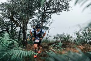 BIB: 
                            <button type="button" onclick="openModal(25327213)" class="btn btn-primary btn-sm float-right btn-popup" data-toggle="modal" data-target=".modal-high-quality">
                        <i class="fas fa-shopping-cart"></i> Add to Cart
                    </button>
                                            <button type="button" onclick="isThisMe(25327213, true)" class="btn btn-success btn-sm float-right btn-popup btn-isme hidden" data-toggle="tooltip" data-placement="bottom" title="นี่คือรูปของคุณใช่ไหม คลิกที่นี่เพื่อเอาเข้าอัลบั้ม">
                        <i class="fas fa-plus"></i> Add to album
                    </button>
                    <button type="button" onclick="isThisMe(25327213, false)" class="btn btn-warning btn-sm float-right btn-popup btn-isnotme hidden">
                        <i class="fas fa-ban"></i> Remove from album
                    </button>