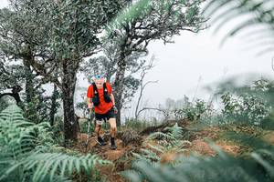 BIB: 
                            <button type="button" onclick="openModal(25327284)" class="btn btn-primary btn-sm float-right btn-popup" data-toggle="modal" data-target=".modal-high-quality">
                        <i class="fas fa-shopping-cart"></i> Add to Cart
                    </button>
                                            <button type="button" onclick="isThisMe(25327284, true)" class="btn btn-success btn-sm float-right btn-popup btn-isme hidden" data-toggle="tooltip" data-placement="bottom" title="นี่คือรูปของคุณใช่ไหม คลิกที่นี่เพื่อเอาเข้าอัลบั้ม">
                        <i class="fas fa-plus"></i> Add to album
                    </button>
                    <button type="button" onclick="isThisMe(25327284, false)" class="btn btn-warning btn-sm float-right btn-popup btn-isnotme hidden">
                        <i class="fas fa-ban"></i> Remove from album
                    </button>