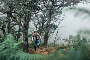 BIB: 
                            <button type="button" onclick="openModal(25326707)" class="btn btn-primary btn-sm float-right btn-popup" data-toggle="modal" data-target=".modal-high-quality">
                        <i class="fas fa-shopping-cart"></i> Add to Cart
                    </button>
                                            <button type="button" onclick="isThisMe(25326707, true)" class="btn btn-success btn-sm float-right btn-popup btn-isme hidden" data-toggle="tooltip" data-placement="bottom" title="นี่คือรูปของคุณใช่ไหม คลิกที่นี่เพื่อเอาเข้าอัลบั้ม">
                        <i class="fas fa-plus"></i> Add to album
                    </button>
                    <button type="button" onclick="isThisMe(25326707, false)" class="btn btn-warning btn-sm float-right btn-popup btn-isnotme hidden">
                        <i class="fas fa-ban"></i> Remove from album
                    </button>