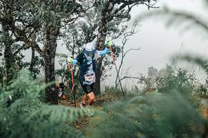 BIB: 
                            <button type="button" onclick="openModal(25327057)" class="btn btn-primary btn-sm float-right btn-popup" data-toggle="modal" data-target=".modal-high-quality">
                        <i class="fas fa-shopping-cart"></i> Add to Cart
                    </button>
                                            <button type="button" onclick="isThisMe(25327057, true)" class="btn btn-success btn-sm float-right btn-popup btn-isme hidden" data-toggle="tooltip" data-placement="bottom" title="นี่คือรูปของคุณใช่ไหม คลิกที่นี่เพื่อเอาเข้าอัลบั้ม">
                        <i class="fas fa-plus"></i> Add to album
                    </button>
                    <button type="button" onclick="isThisMe(25327057, false)" class="btn btn-warning btn-sm float-right btn-popup btn-isnotme hidden">
                        <i class="fas fa-ban"></i> Remove from album
                    </button>